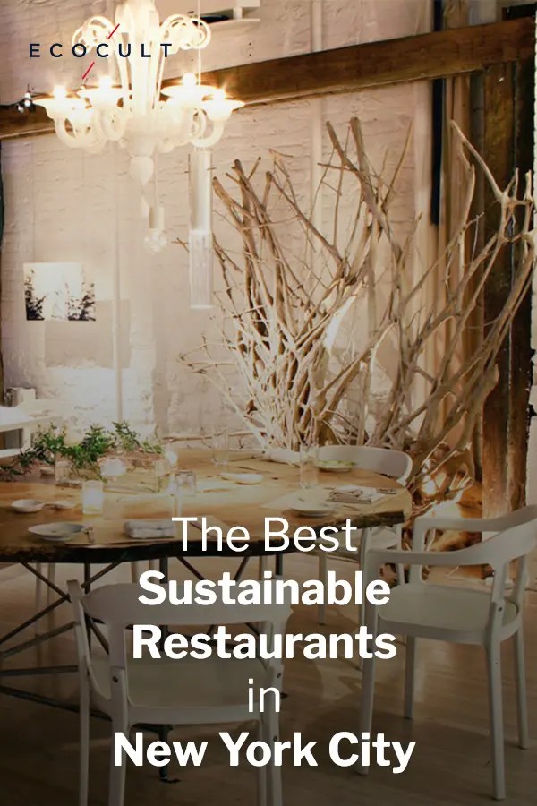 The 24 Best Sustainable and EcoFriendly Restaurants in NYC Ecocult®