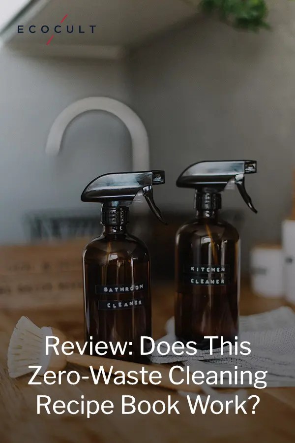 Does This Zero Waste Cleaning Recipe Book Live Up to Its Promise?
