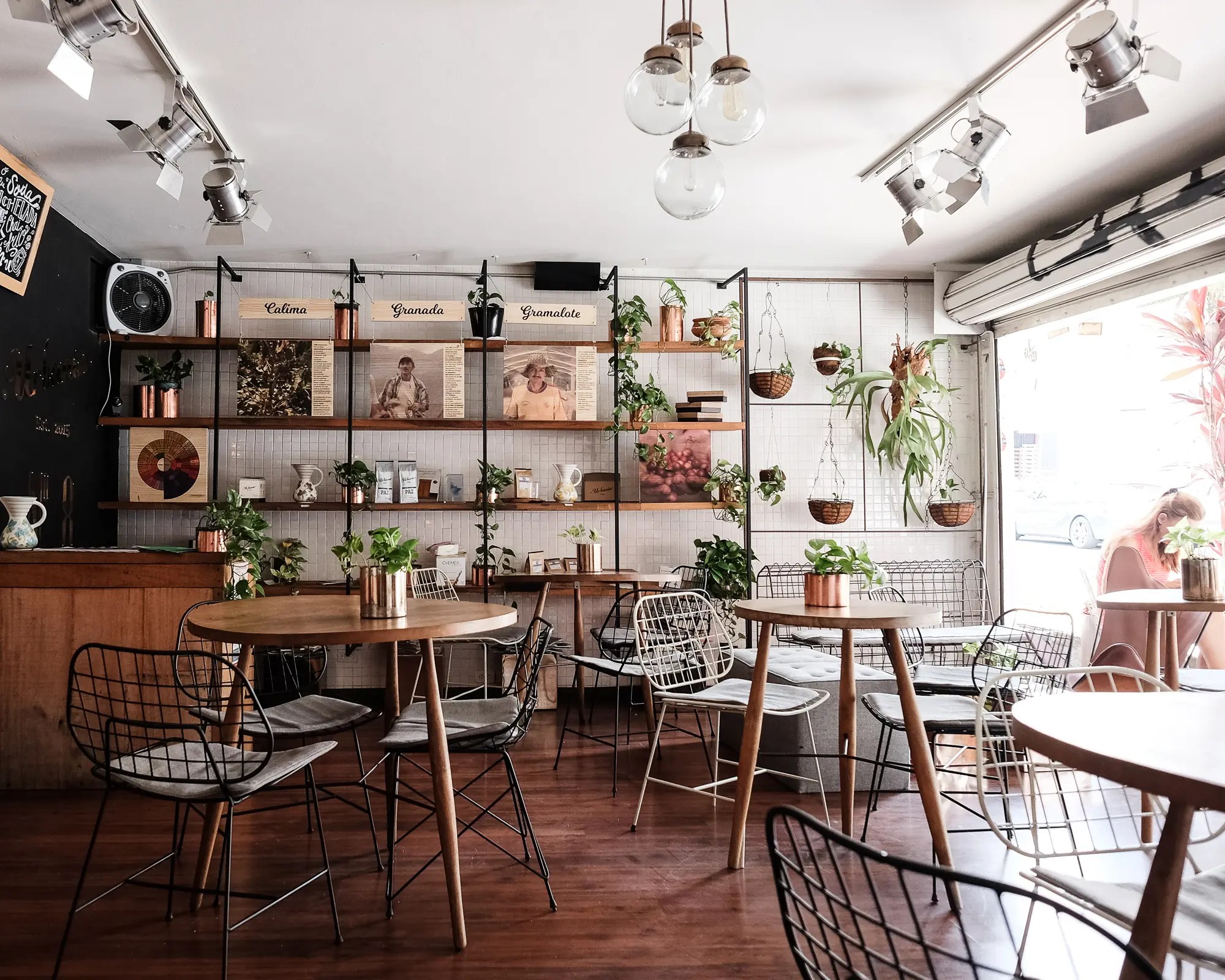 These Are The Best Coffee Shops to Visit in Medellin, Colombia Ecocult