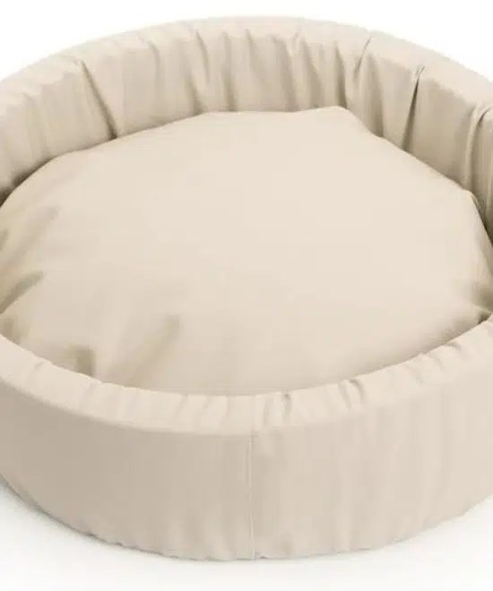 The Ultimate Guide To EcoFriendly and NonToxic Pet Beds Ecocult