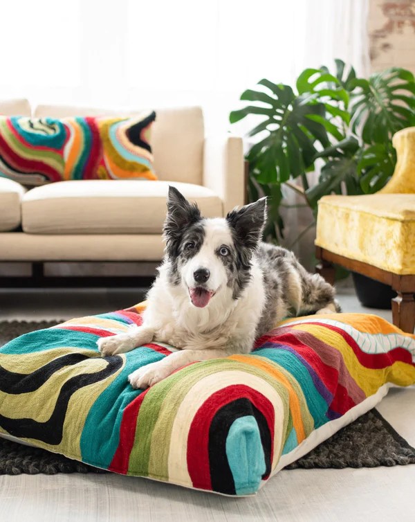 The Ultimate Guide To EcoFriendly and NonToxic Pet Beds Ecocult®