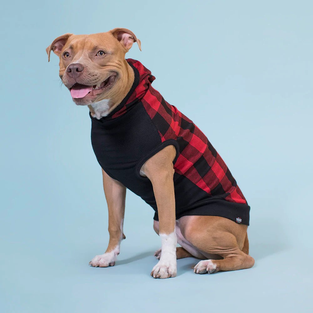 The Best NonToxic and Sustainable Dog Jackets Ecocult®