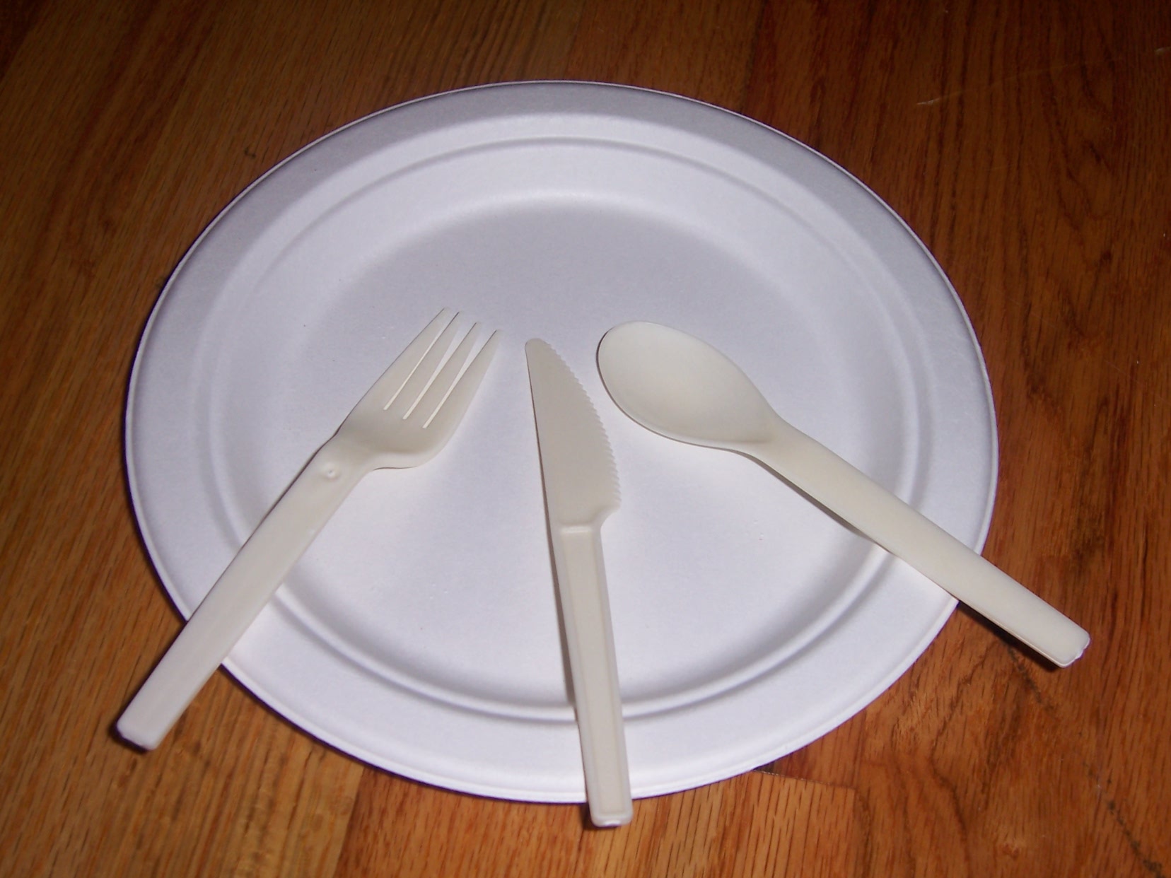 Biodegradable Spoons EcoDallas