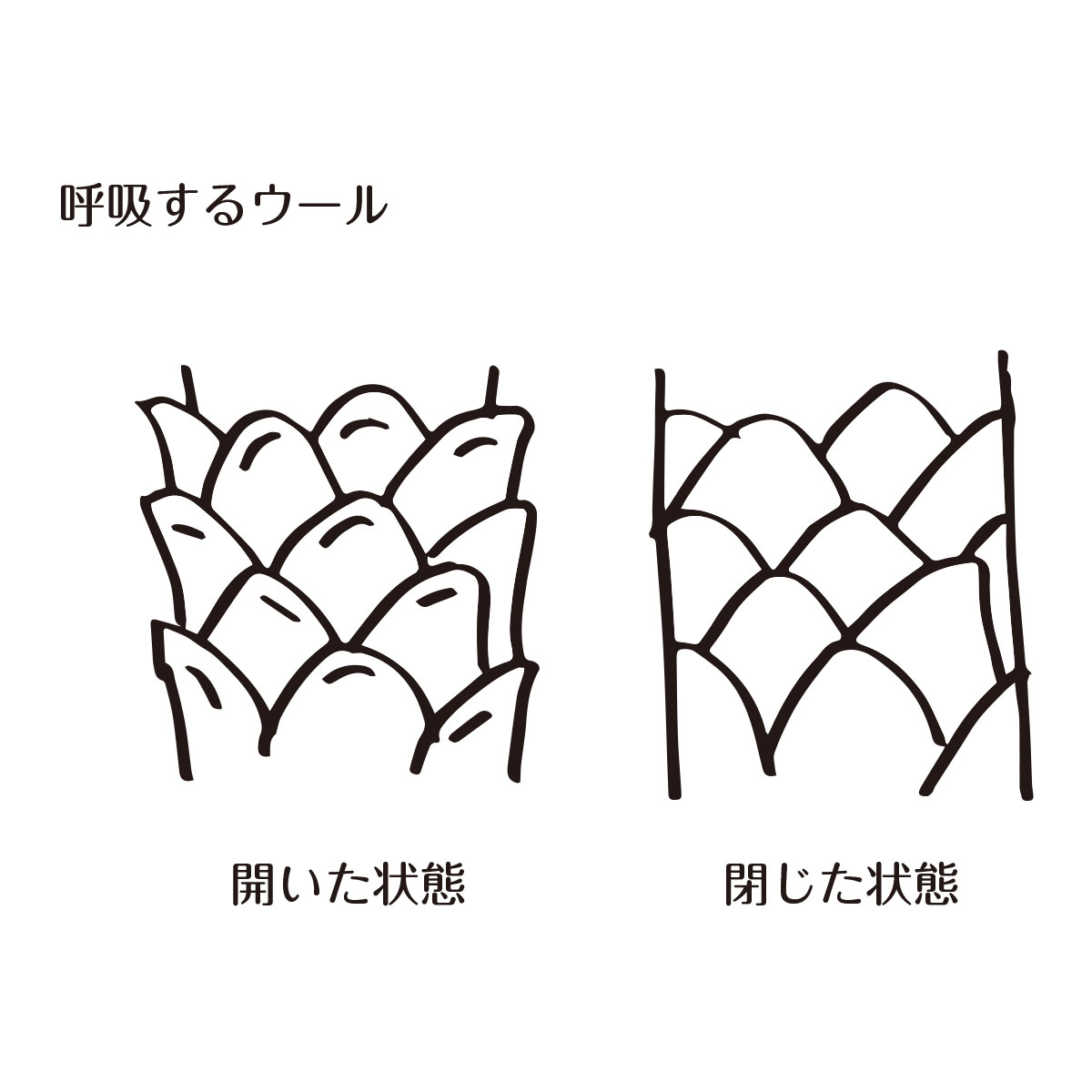 もっと知りたい「生きている繊維」ウールについて ナチュラルな暮らしのエコグッズ エコデパジャパン