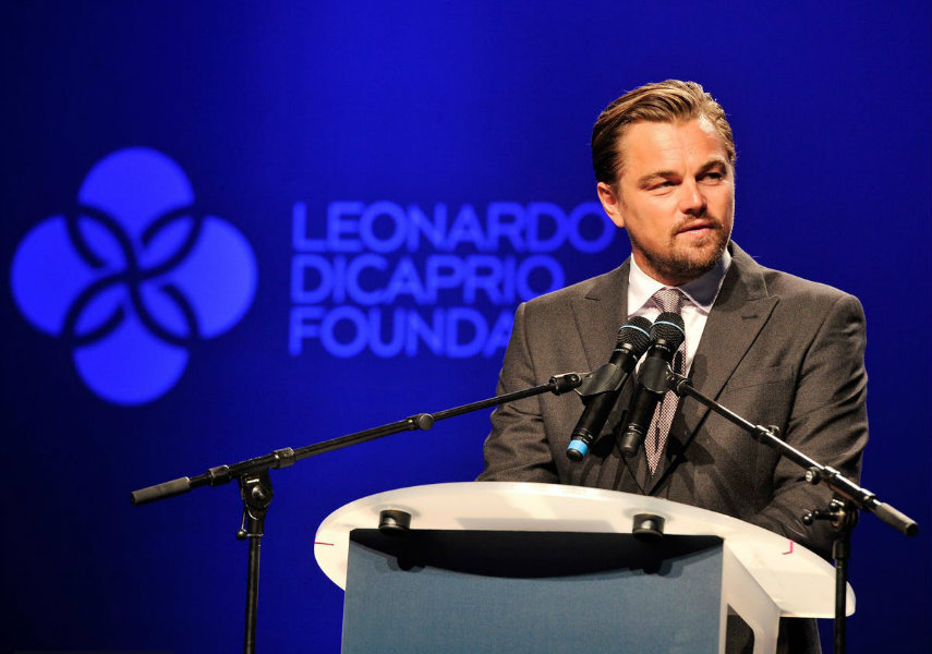 LDC Foundation