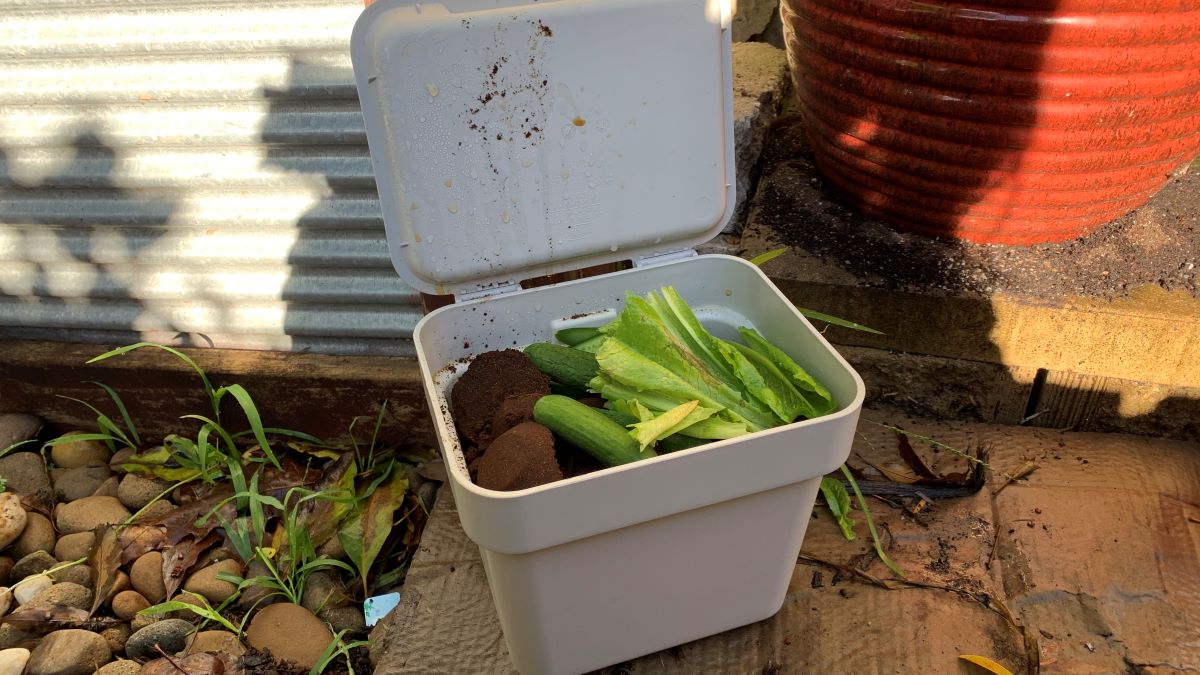 Direct composting in pots Step by Step Guide Eco Family Life