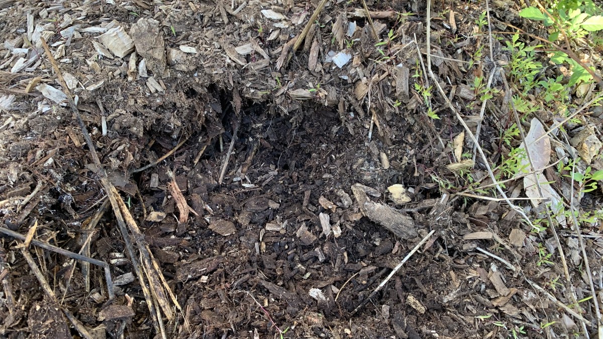 Why Does Compost Get Hot? How to Make it in 4 Weeks Eco Family Life