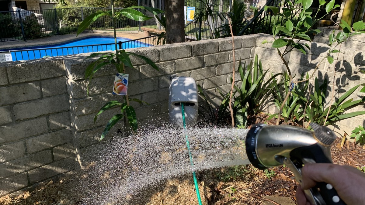 Watering Your Plants at Night 11 Pros and Cons Eco Family Life