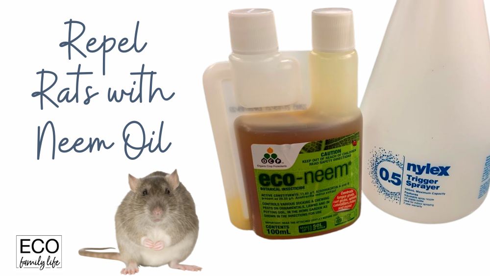 Does Neem Oil Repel Rats? 3 Steps to Repel Rats with Neem Oil Eco