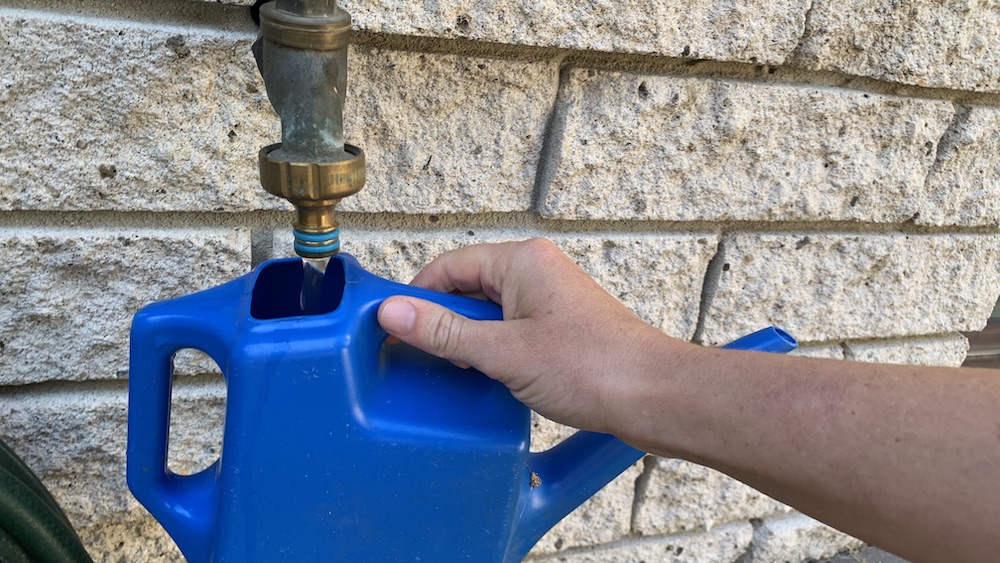 Using Vinegar to Acidify Soil for Blueberries Quick Guide Eco