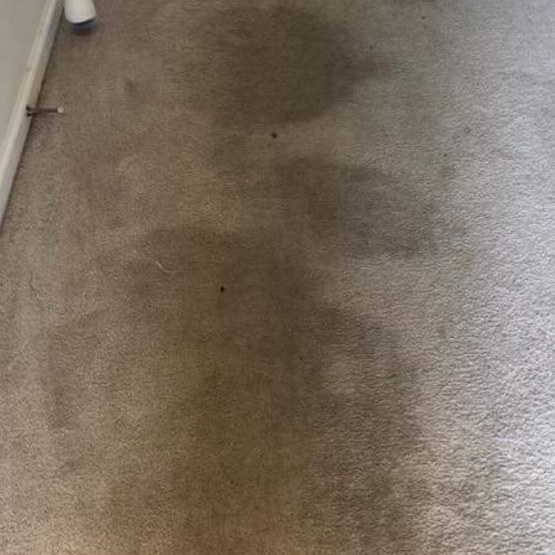 The 1 Carpet Cleaning in Sioux Falls, SD 300+ 5Star Reviews!