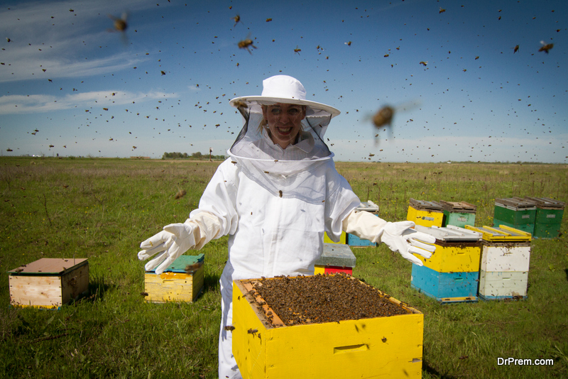 Why and how to make farming bee friendly