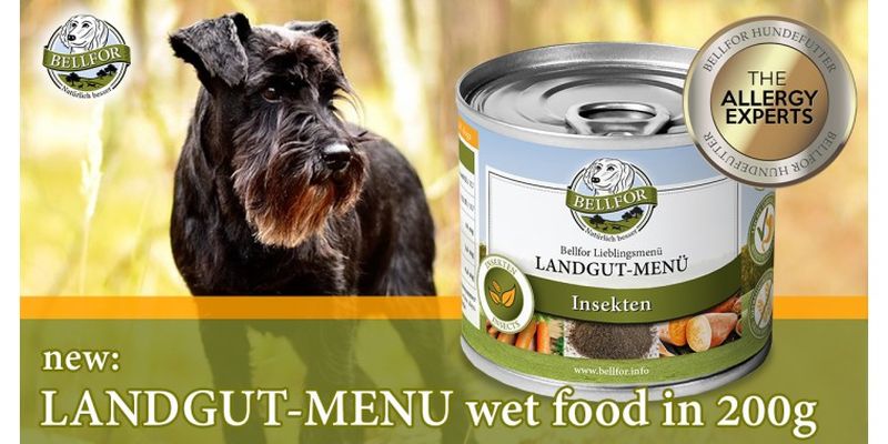 6 Sustainable & Healthy Dog Food Alternatives To Meat