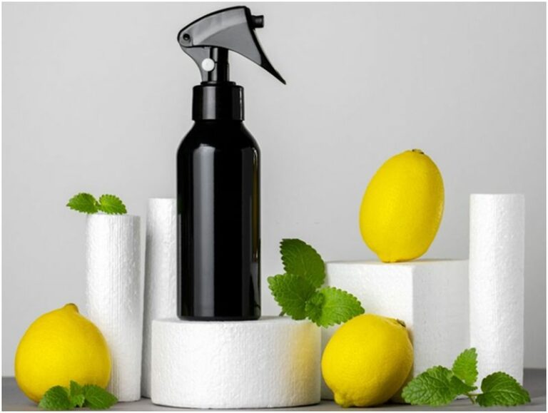 Top 20 Home Made EcoFriendly Pest Control Methods