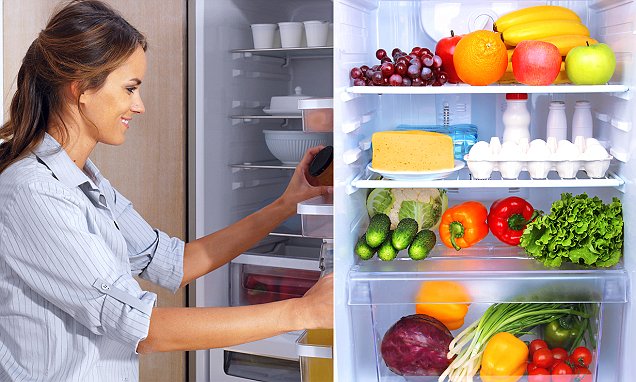 Get Extra Freezer Space with a Cost Effective Fridge Freezer Eco