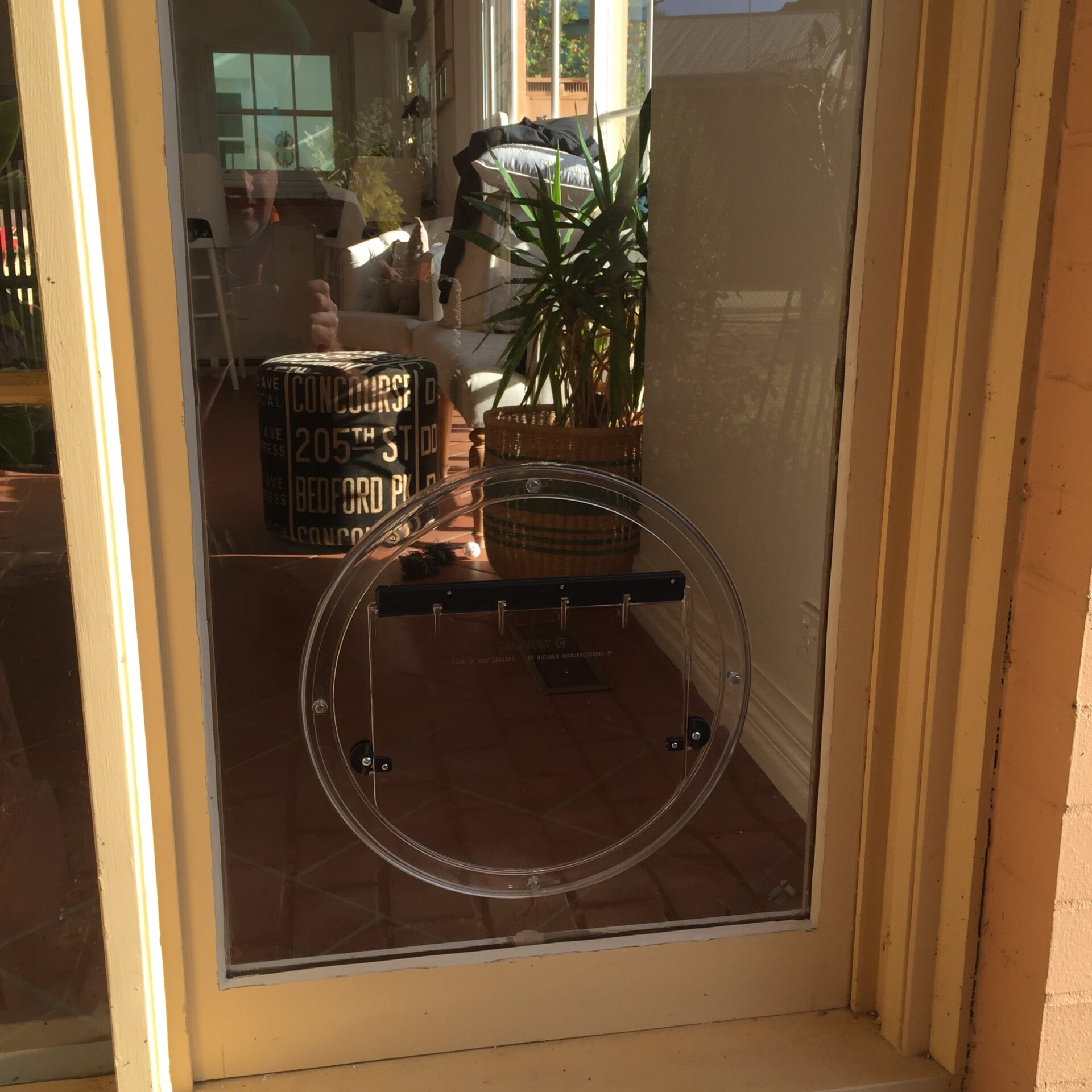 Pet Door Installations Ecoglass Geelong