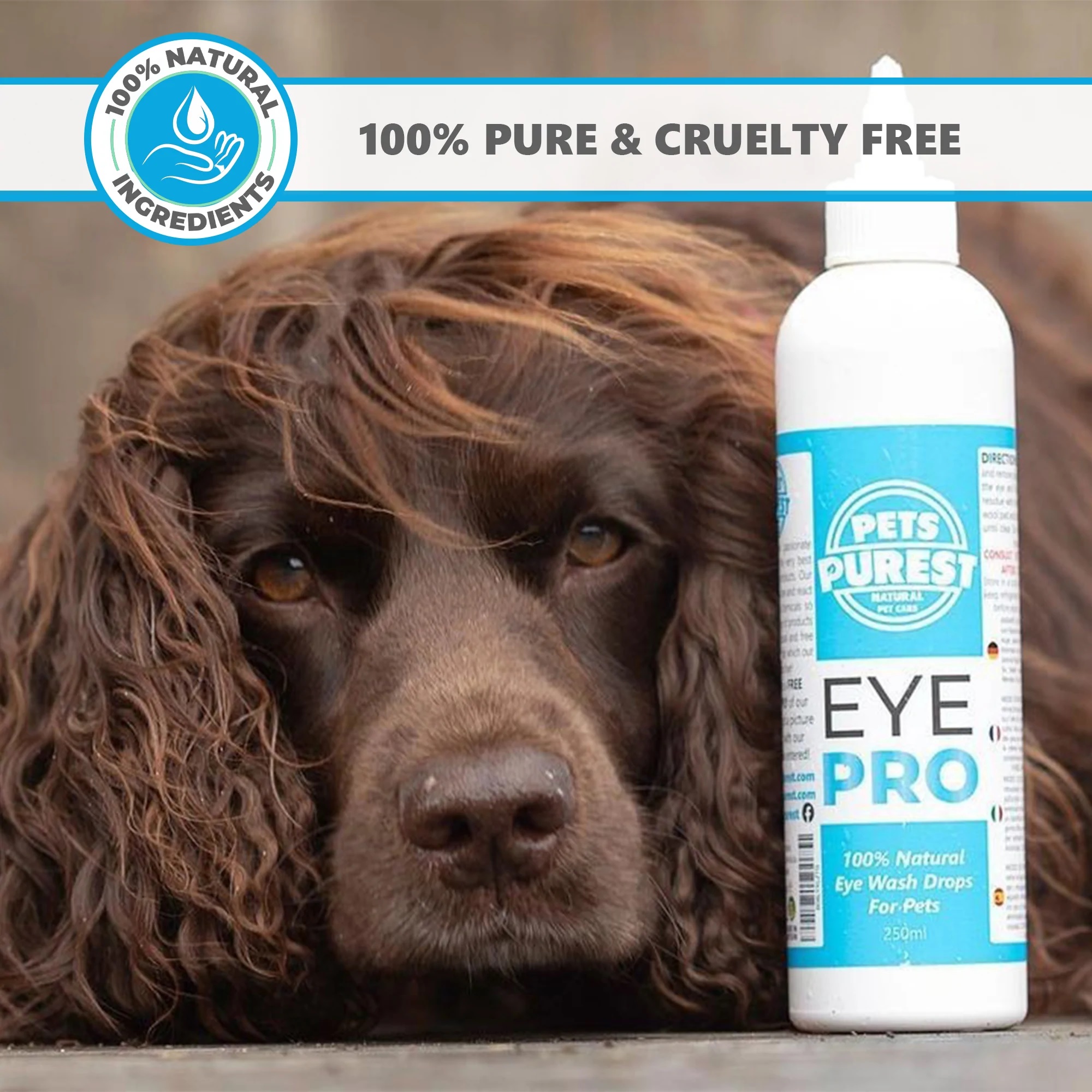 Natural Eye Wash For Pets EcoGreen Equestrian