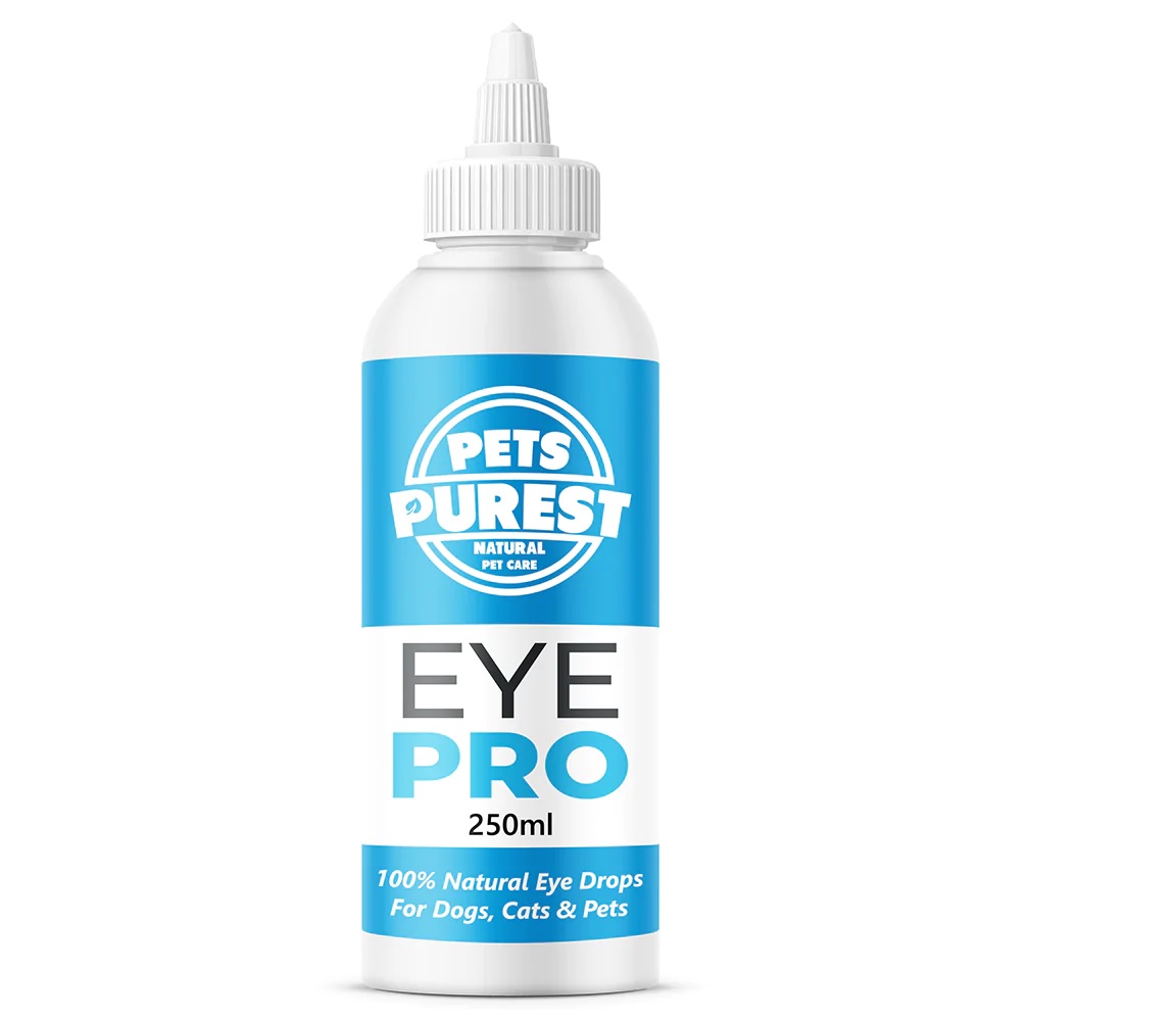 Natural Eye Wash For Pets EcoGreen Equestrian