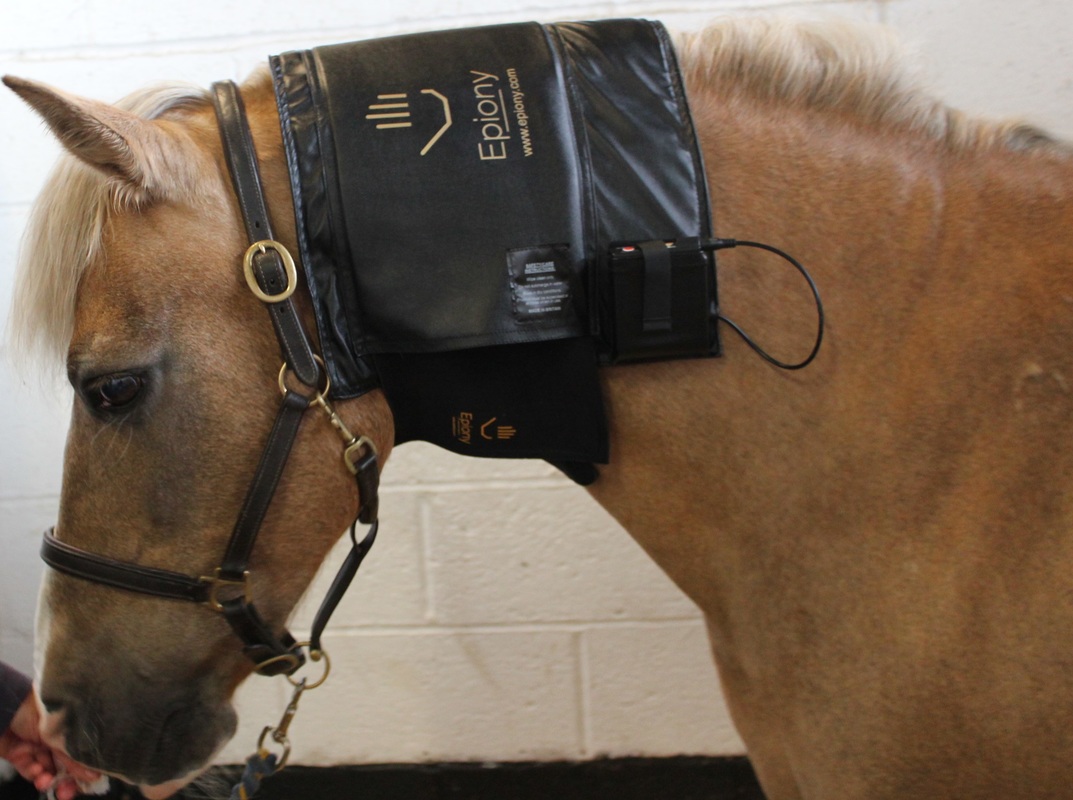 Epiony Heat Pad has been designed to use on horses, dogs & humans