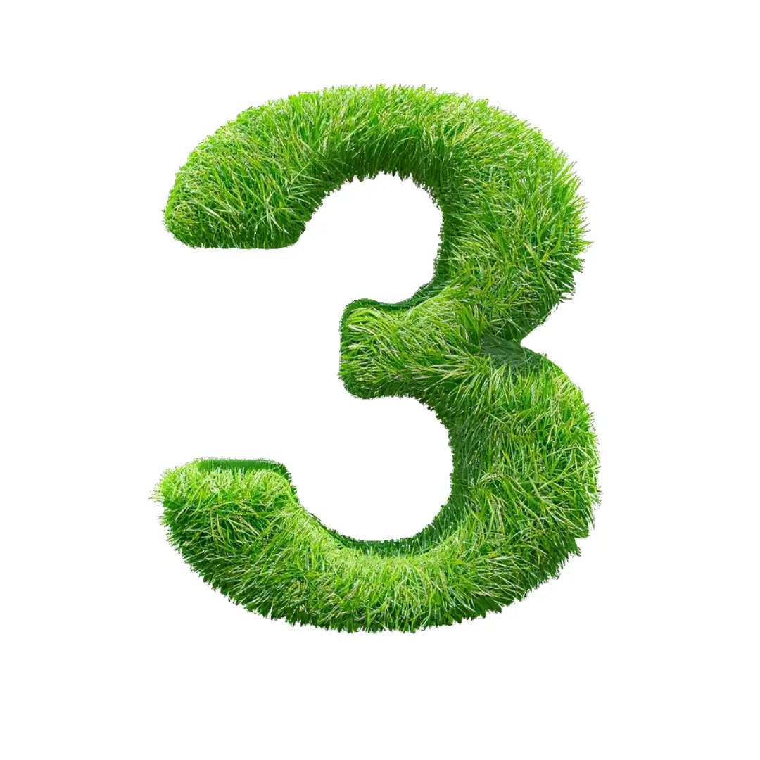 EcoGreen Lawn Care Franchise Available in USA