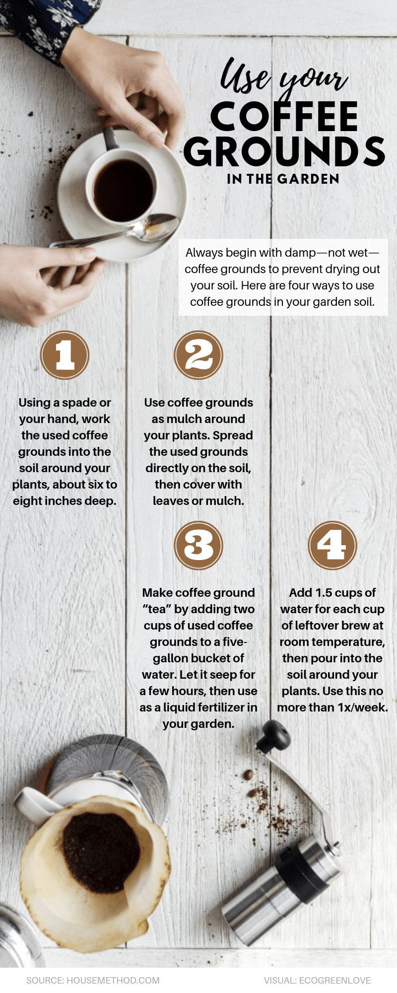 Use your Coffee Grounds in the Garden [Infographic] ecogreenlove