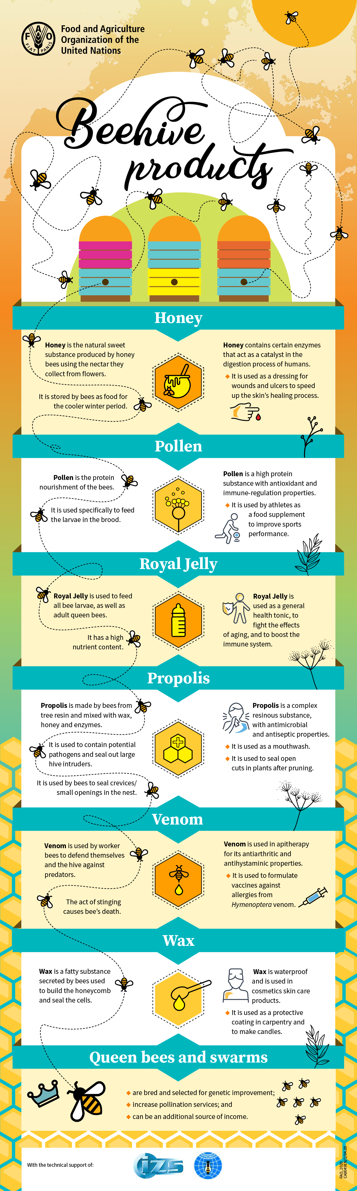 A Bee’s Worth 🐝 [Visuals] ecogreenlove
