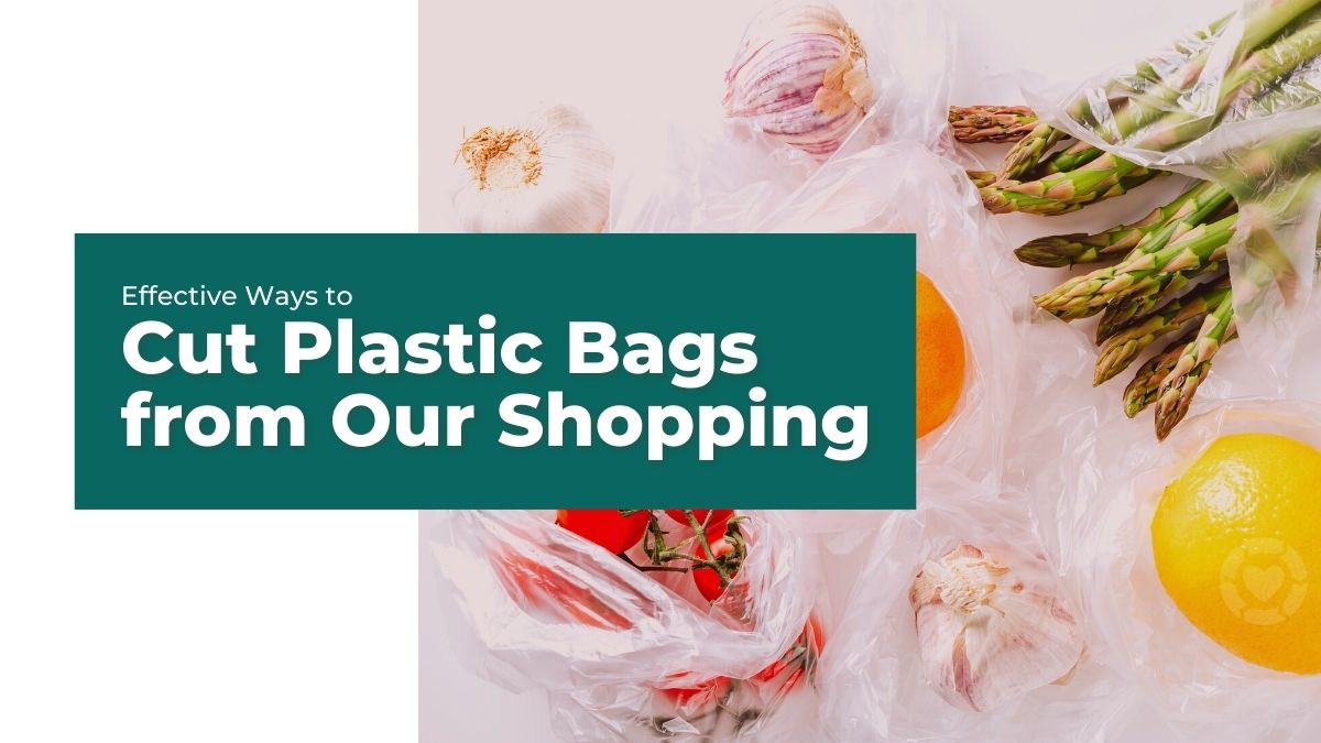 Effective Ways to Cut Plastic Bags from Our Shopping ecogreenlove
