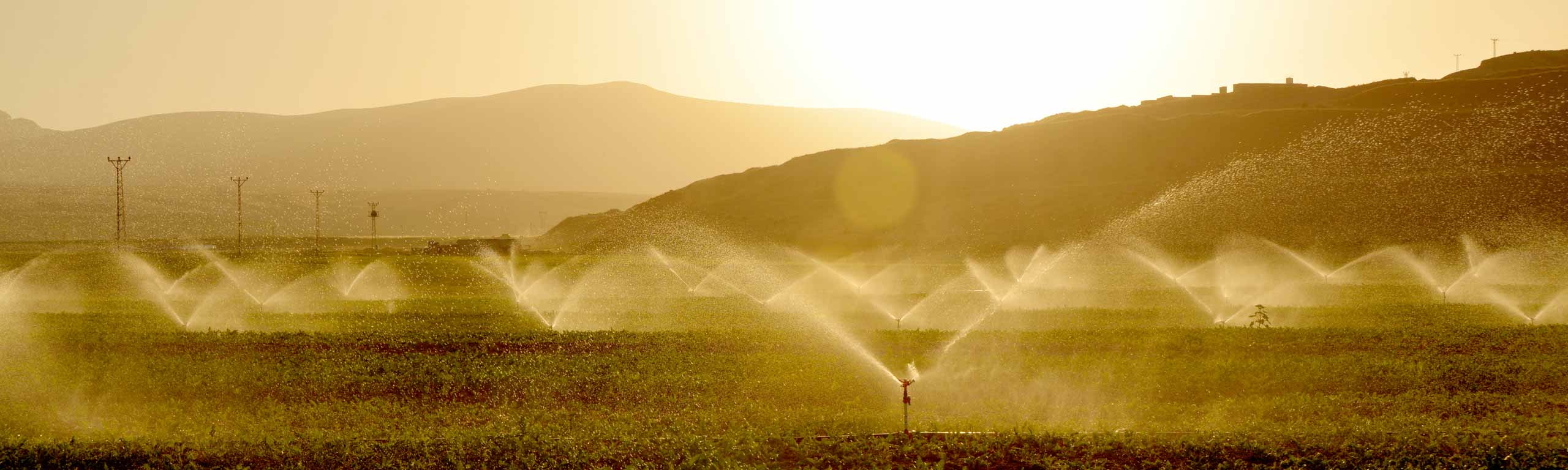 Rigby Civils Limited Grass Helipad EcoGrid