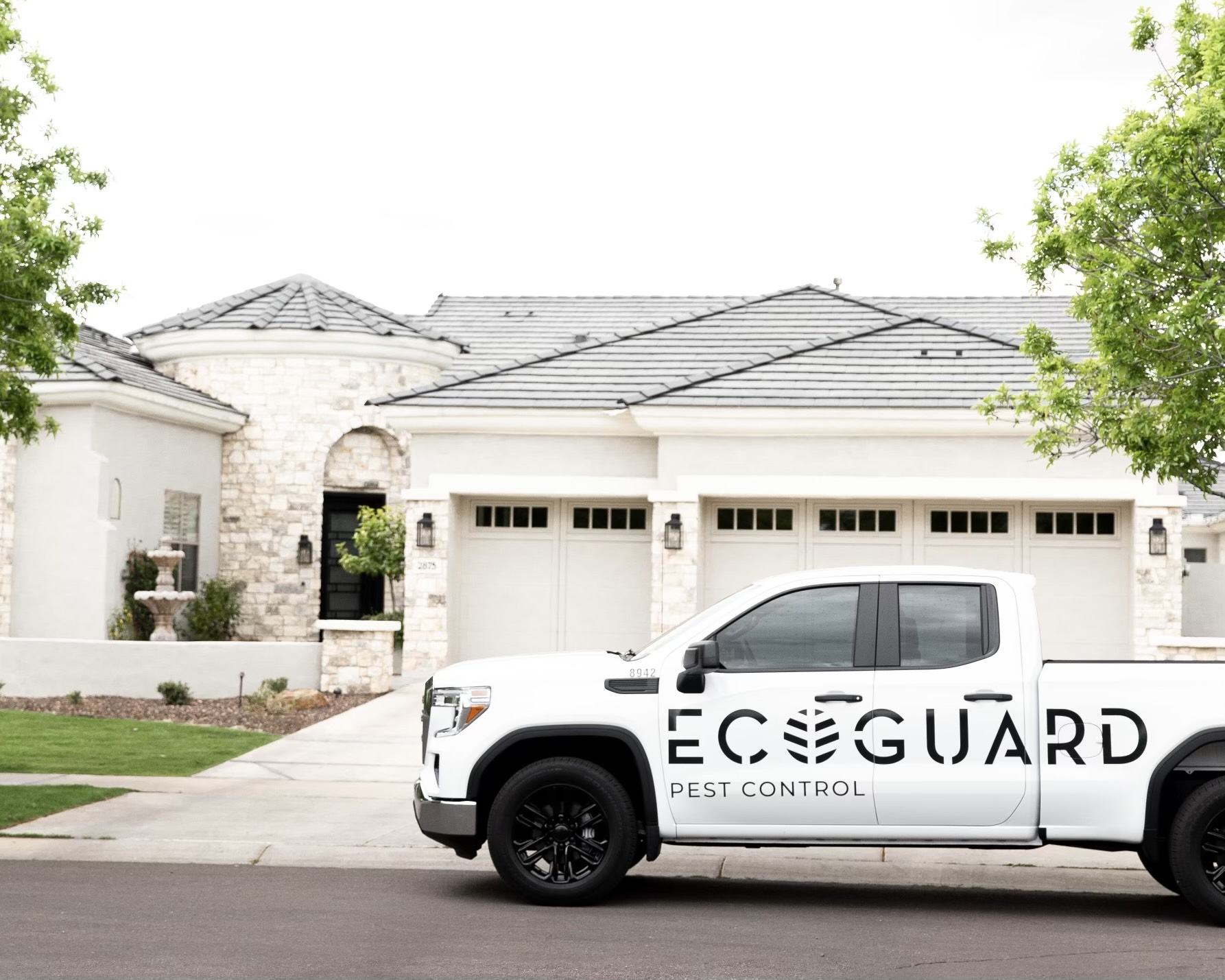 What Causes Termites in Phoenix, Arizona? Eco Guard Pest