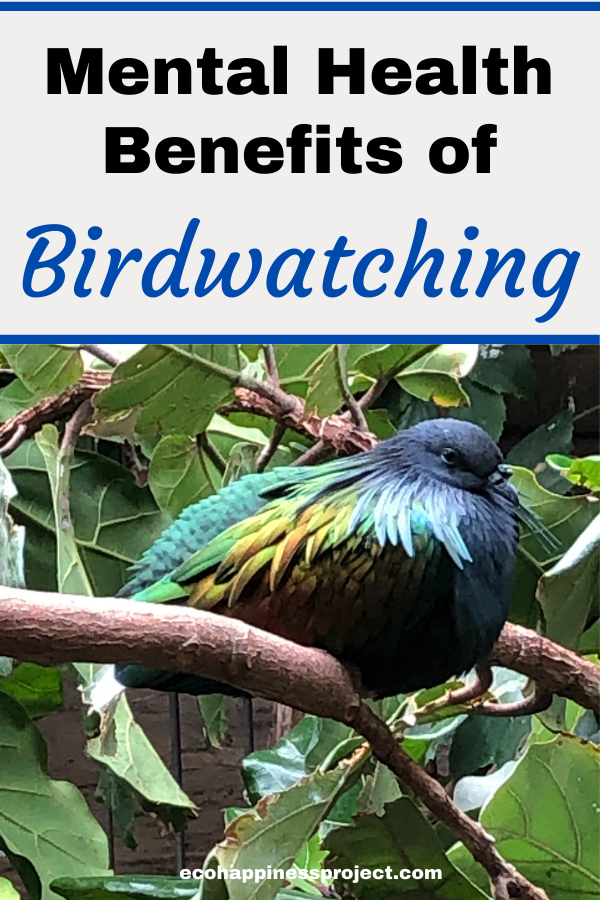 Mental Health Benefits of Birdwatching Ecohappiness Project