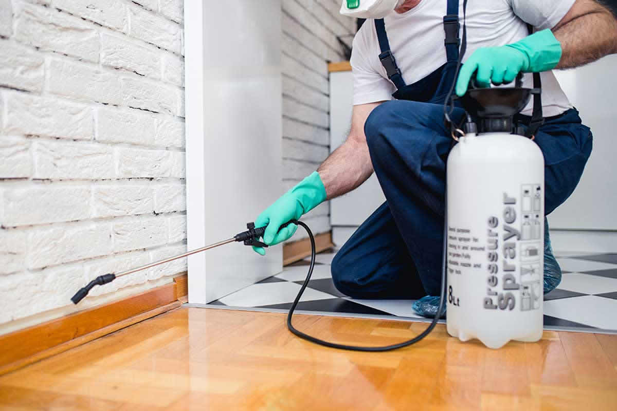 Domestic Pest Control Eco Hygiene