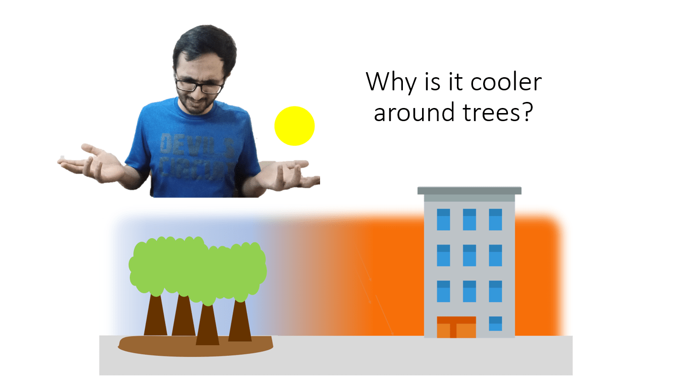 Why is it cooler around trees? Ecointelligent™