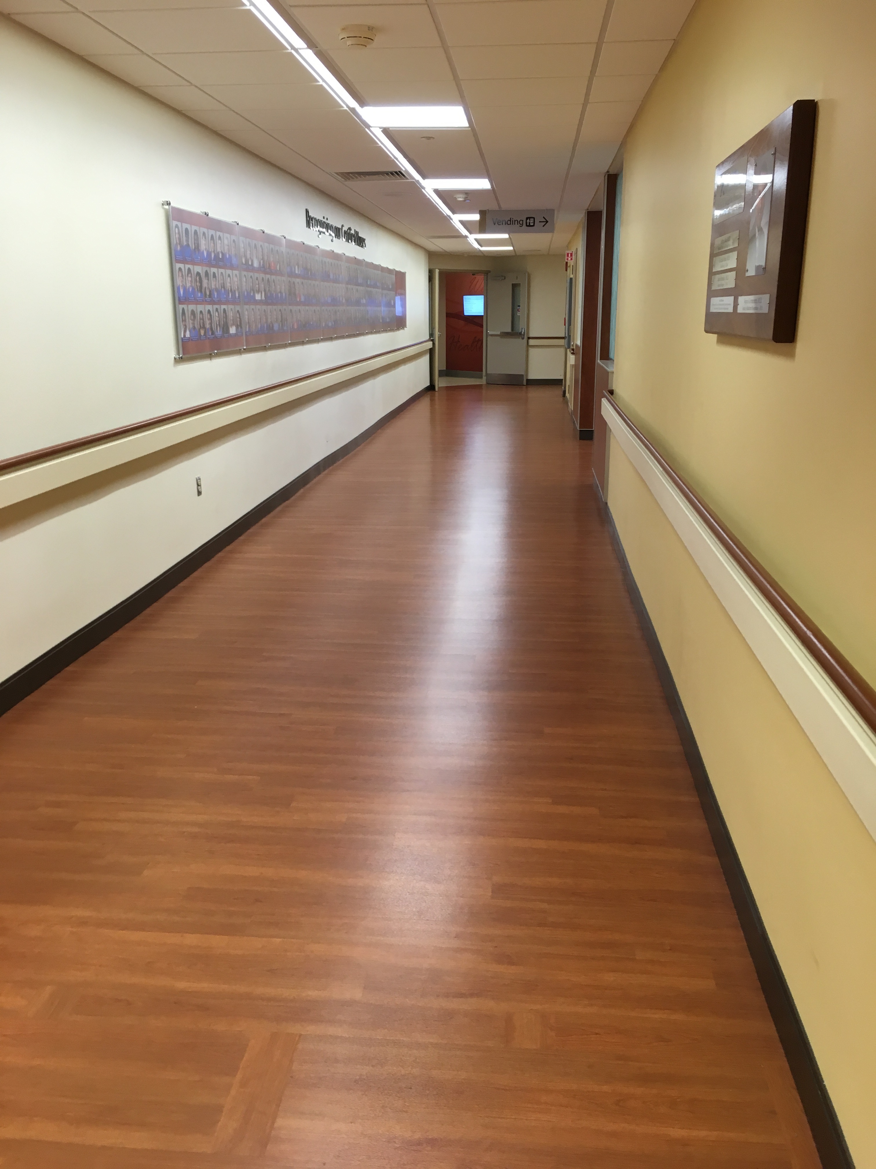 Cleaning Commercial Floors Carpet and Upholstery