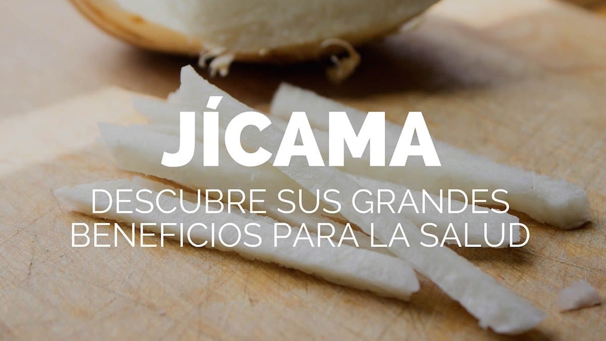 ¿Sabes qué es la jícama? Descubre sus grandes beneficios para la salud