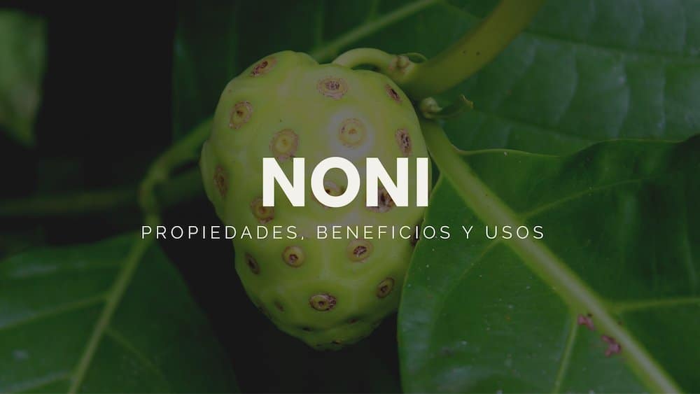 Propiedades beneficios y usos del noni