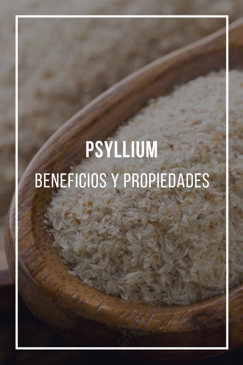 Psyllium qué es y para qué sirve