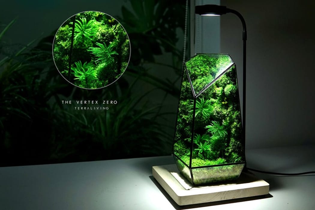 Un ecosistema sellado en un terrario de cristal con un mundo interior
