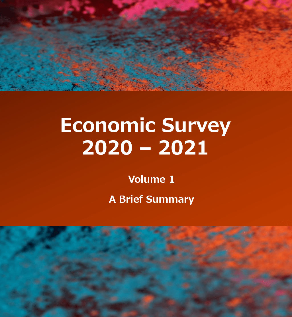 A Brief Summary of the Economic Survey 20202021