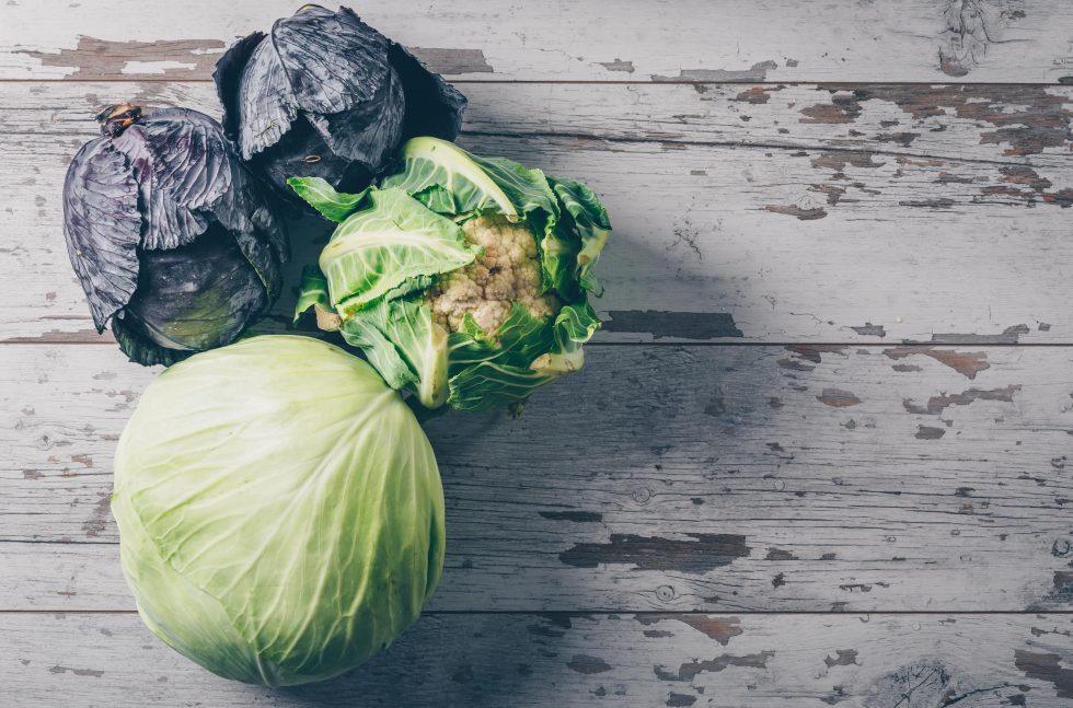 "Cabbage Lifespan How Long does Cabbage last in The Fridge? Ecoki