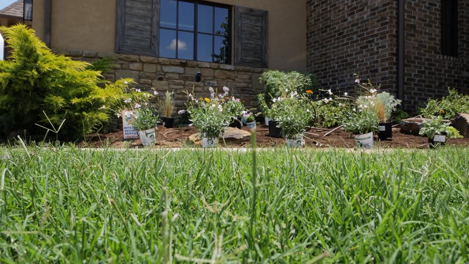 3 Ideas For Low Maintenance Landscaping Apple Valley Eco Landscapes