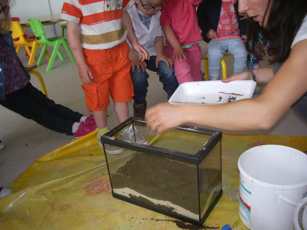 un terrarium à lombrics en maternelle Ecole Anne Leroy