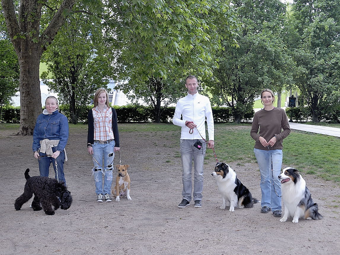 Guide Pratique De L ã â Levage Canin By Philippe Pierson.