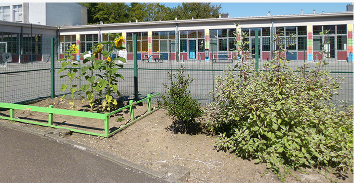 Projet D Etablissement Ecole De Herve Immersion En Allemand