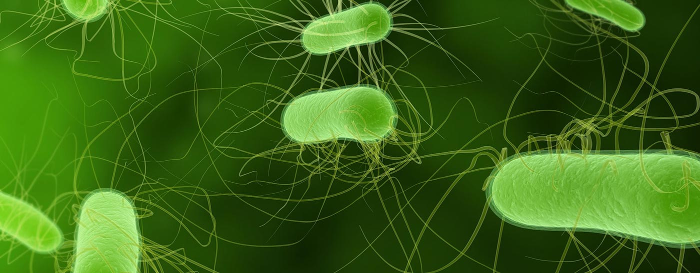 E. coli Lawyers E. coli O157H7 Food Contamination