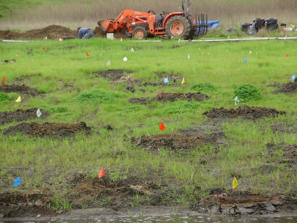 CVRP Habitat Mitigation Ecological Concerns Incorporated
