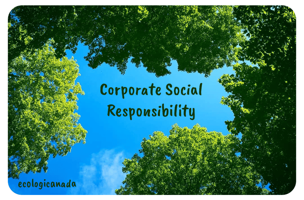 8 Ways to Improve Corporate Social Responsibility and Business
