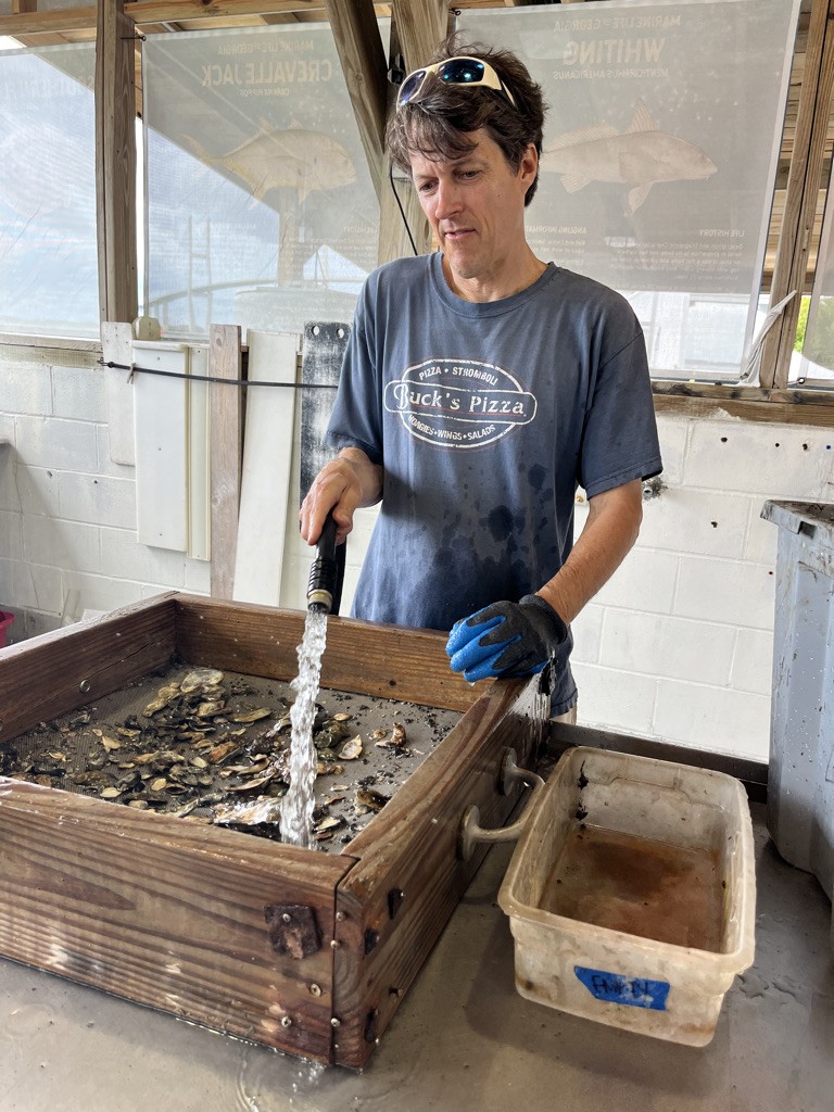 Odum School of Ecology Inside oyster disease epidemic