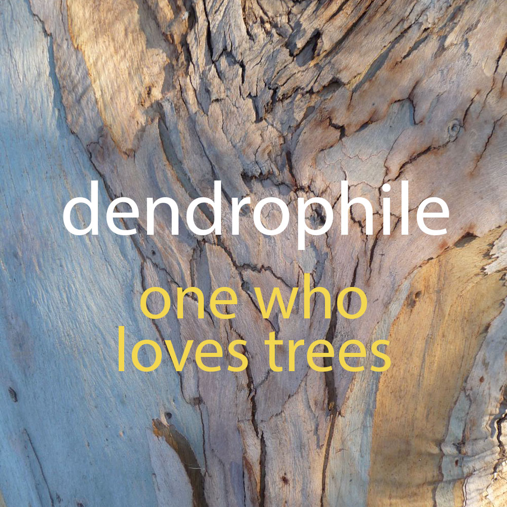 dendrophile Ecology Prime