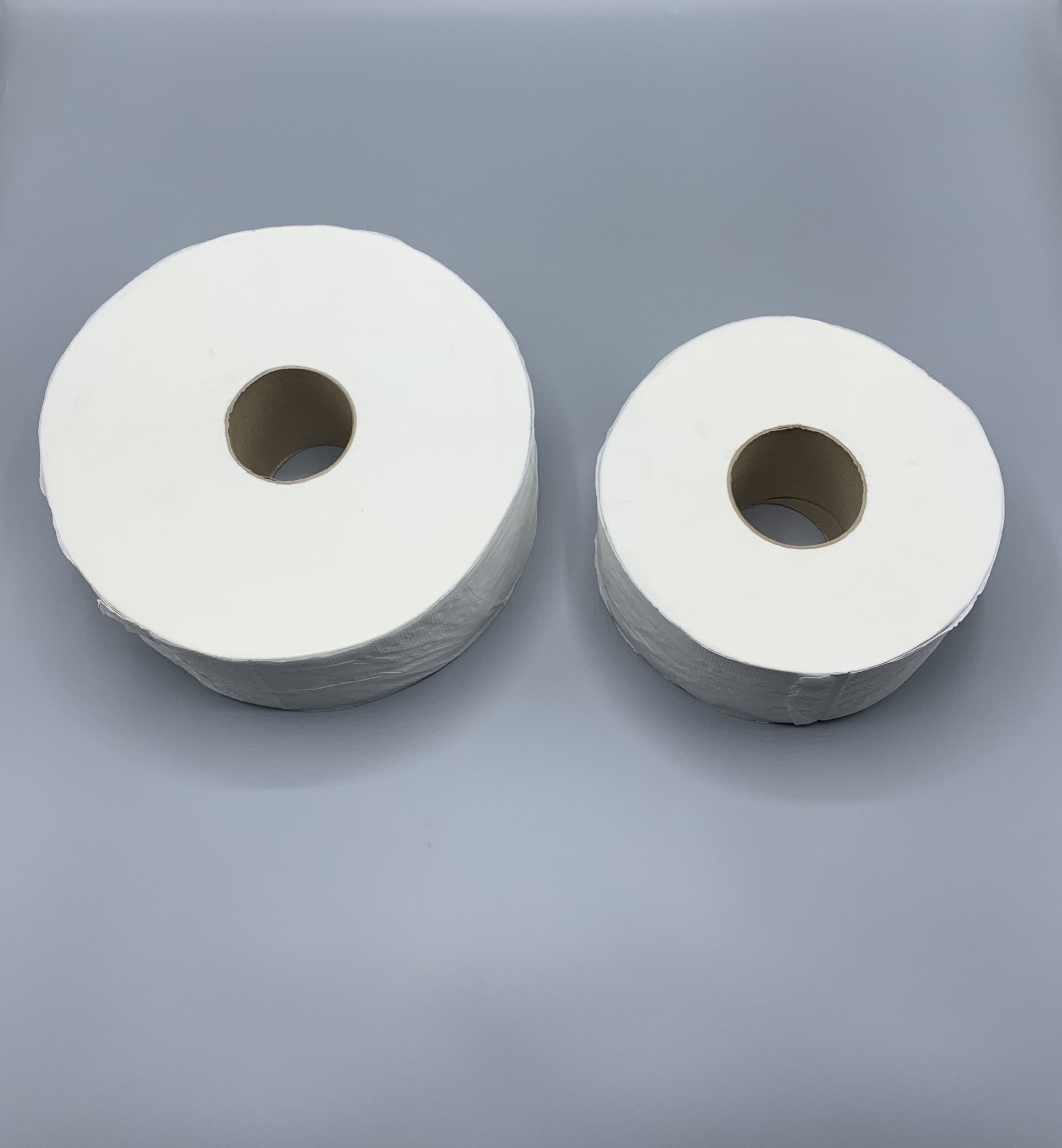 Rouleaux papier toilette Jumbo EcoloJetable