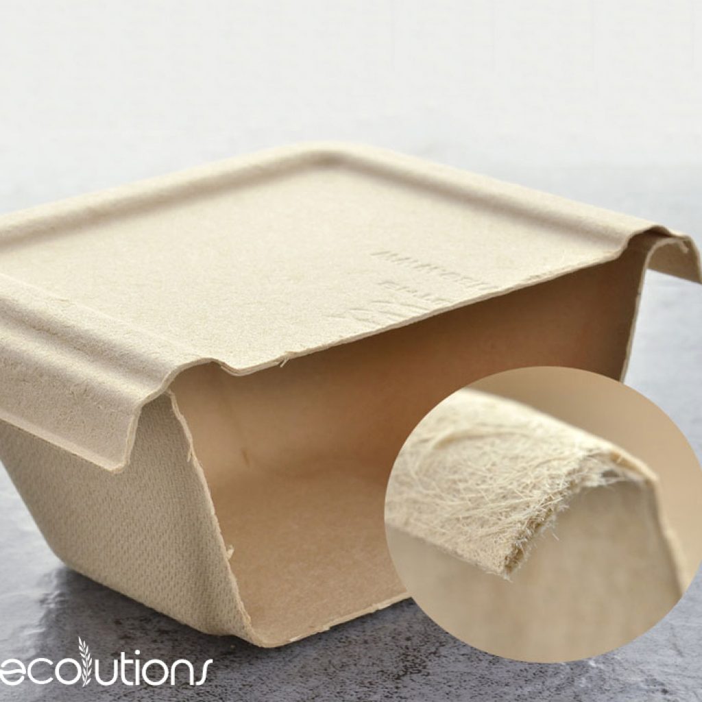 Home Page Ecolutions PH Manila EcoFriendly Packaging